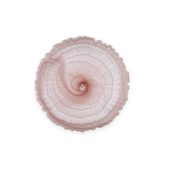 Salad Plates, Set of 4