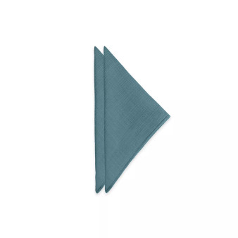 Colorwave 2 Pack Napkins