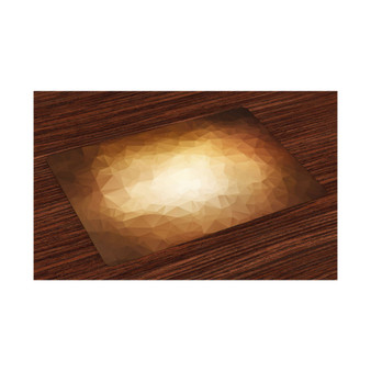 Tan Place Mats, Set of 4