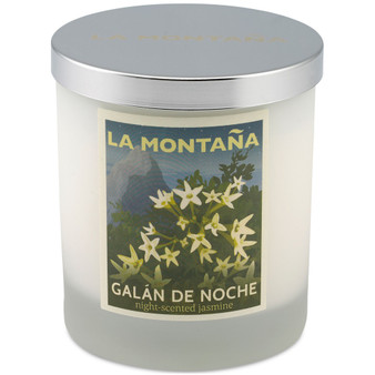 Galán de Noche Scented Candle, 8 oz.