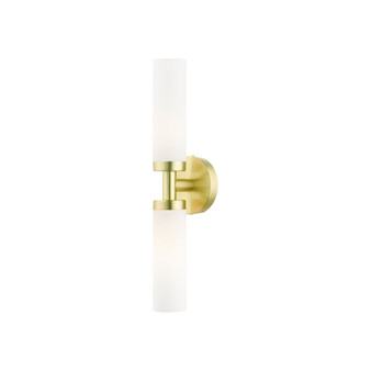 Aero 2 Lights Vanity Sconce