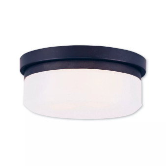 Stratus 2-Light Ceiling Mount/ Wall Mount