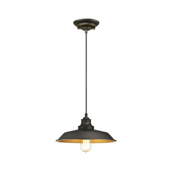 Lighting Iron Hill One-Light Indoor Pendant