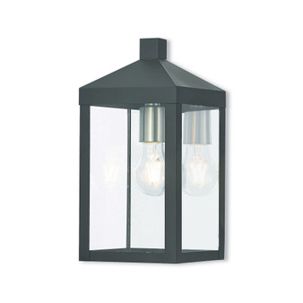 Nyack 1-Light Large Outdoor Wall Lantern