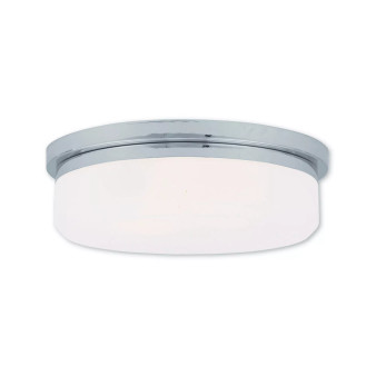 Stratus 3-Light Ceiling Mount/ Wall Mount