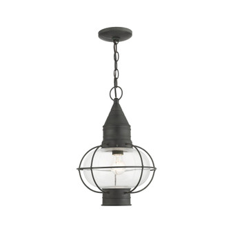 Newburyport 1 Light Outdoor Pendant Lantern