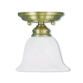 Essex 1-Light Ceiling Mount