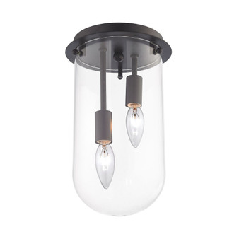 Lightway 2 Light Flush in Oil Rubbed Bronze