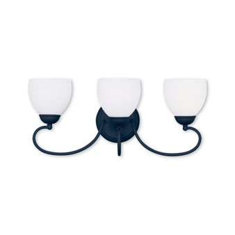 Brookside 3-Light Bath Vanity Fixture
