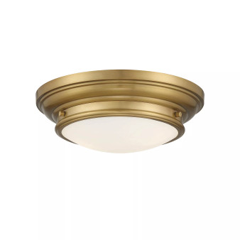 2-Light Ceiling Light