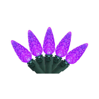 Set of 70 Purple LED C6 Christmas Lights - Green Wire