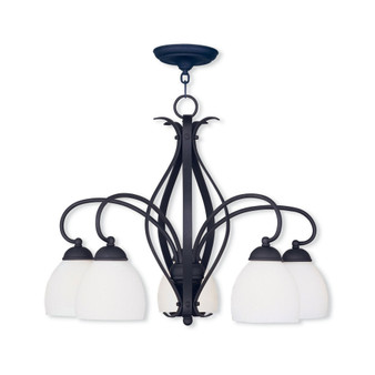 Brookside 5-Light 20" Chandelier