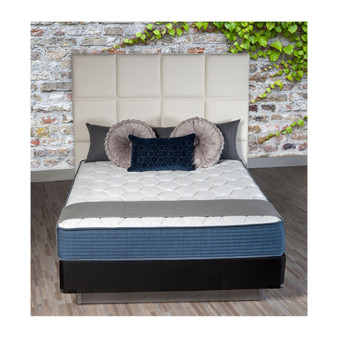 11" Plush Mattress Set- Twin XL
