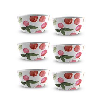 Berries Cherries Dessert Bowl Set of 6
