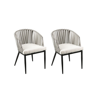 Anisa Outdoor Chairs with Cushions 2 Piece Set
