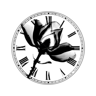 Magnolia X-Ray Oversized Cottage Wall Clock - 36 x 36