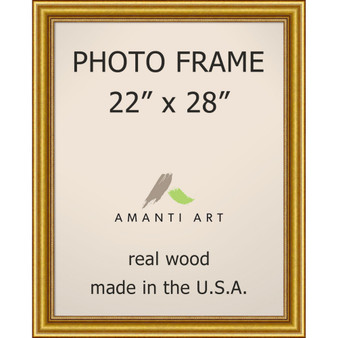 Townhouse Gold 22" X 28" Opening Wall Picture Photo Frame