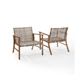 Ridley 2 Piece Outdoor Wicker and Metal Armchair Set