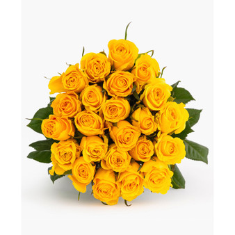 Two Dozen Yellow Roses Fresh Flower Bouquet