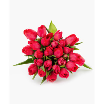 Radiant Red Tulips Fresh Flower Bouquet