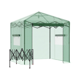 Greenhouse 8' x 6' Popup Hot House, Tropical Plants, Vegetables