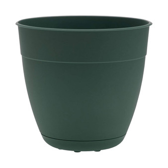 Ocean Series Dayton Ocean Plastic Planter, Turtle Green, 8 inches