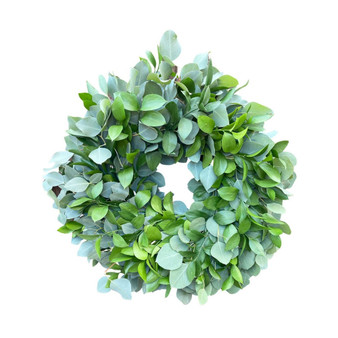Fresh Dollar Eucalyptus and Ruscus Wreath, 20"