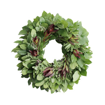 Fresh Lemon Leaf, Pittosporum and Safari Sunset Wreath, 20"