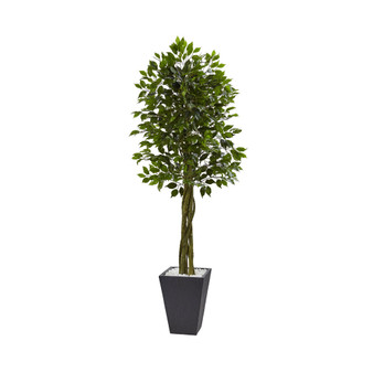 6.5' Ficus UV-Resistant Indoor/Outdoor Artificial Tree in Slate-Tone Clay Planter