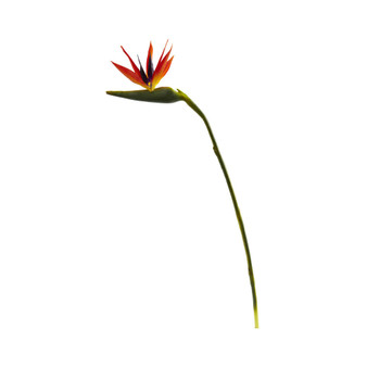 38-In. Large Bird of Paradise Artificial Flower, Set of 4