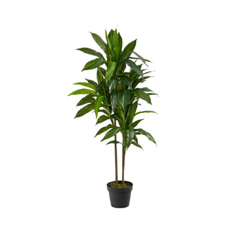 43" Dracaena Real Touch Plant