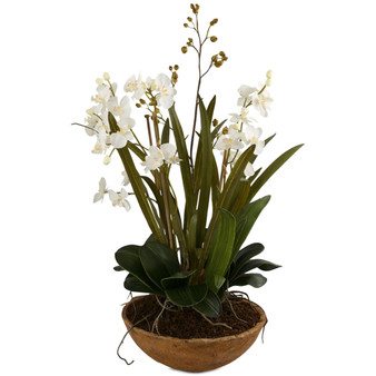 Moth Orchid Planter