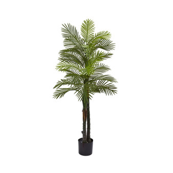 5.5’ Indoor/Outdoor UV-Resistant Artificial Double Robellini Palm Tree
