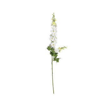 38.5" Delphinium Stem, Set of 12