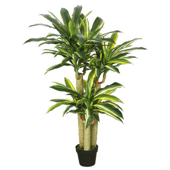 52" Artificial Potted Green and Yellow Real Touch Dracaena Tree