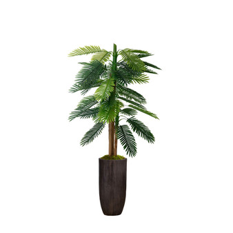 72.25" Real Touch Palm Tree in Resin Planter