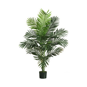 5' Paradise Palm