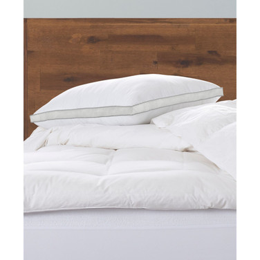Memory Fiber Pillow 100% Cotton Luxurious Mesh Gusseted Shell All Sleeper Pillow - Standard