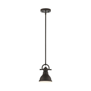 1-Light Downrod Mini Pendant