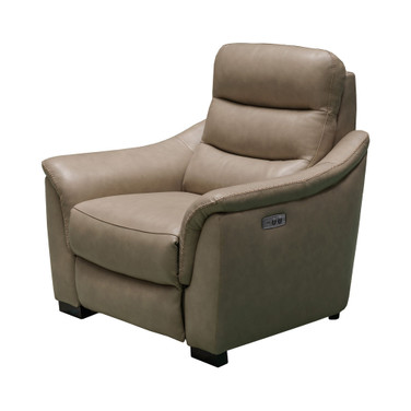Shelly Leather Power Recliner