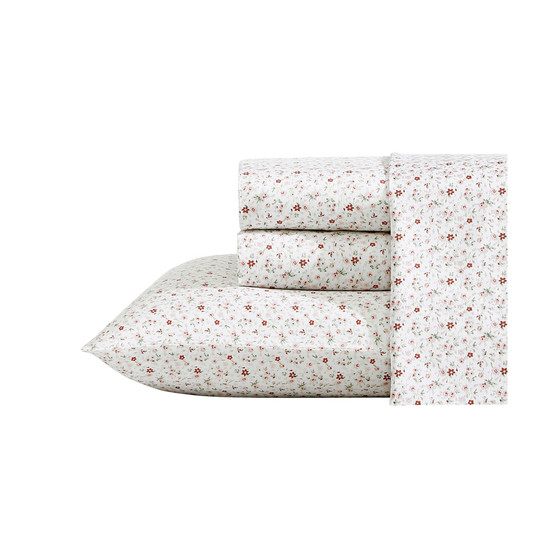 Evie Cotton Sateen 4-Pc. Sheet Set, Queen
