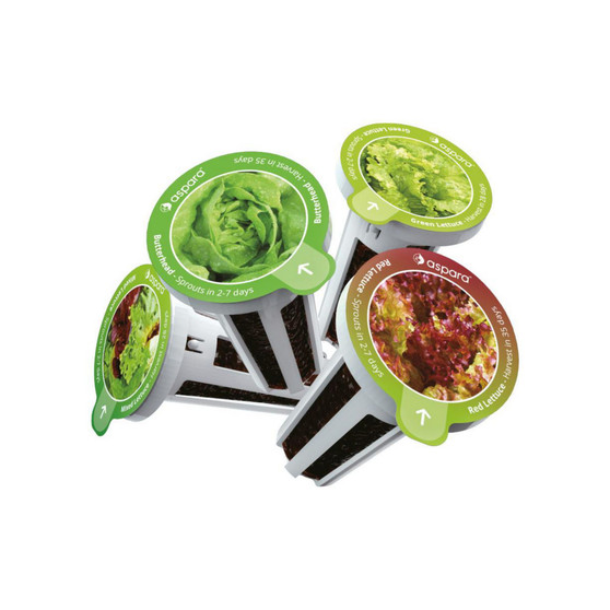 KLS0001 8 capsule seed kit - Lettuce Selected