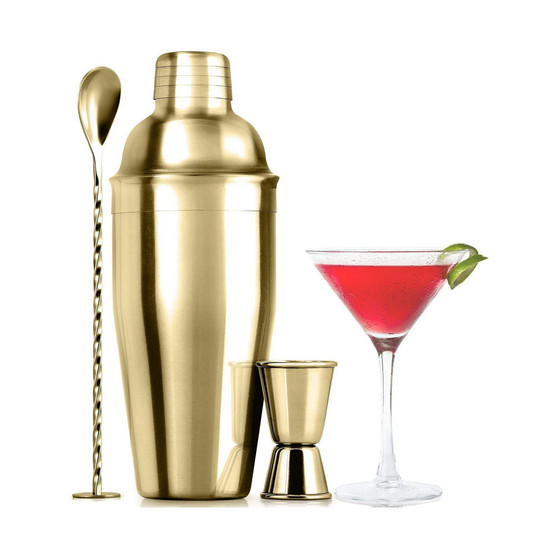 Professional Cocktail Shaker with Accessories Set