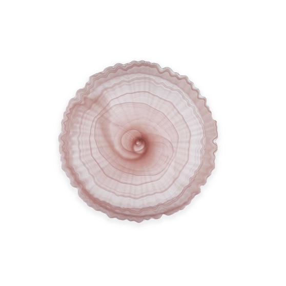 Salad Plates, Set of 4