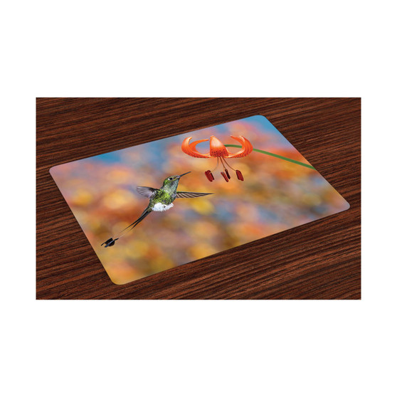 Hummingbird Place Mats, Set of 4