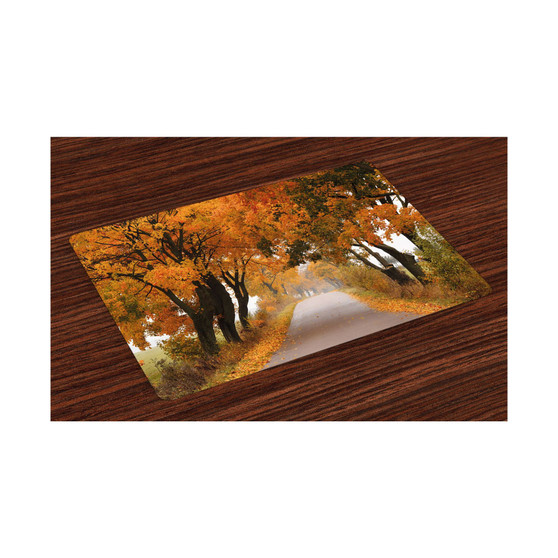Fall Place Mats, Set of 4