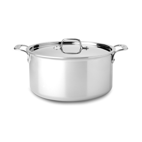 Stainless Steel 8 Qt. Covered Stockpot