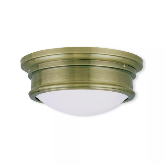 Astor 2-Light Ceiling Mount