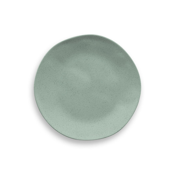 Wheat PP 6-Piece Salad Plate 8.5"