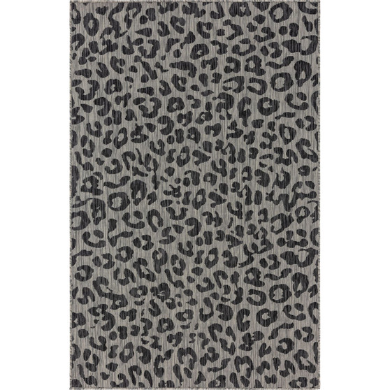 Outdoor Pashio Pas7 Light Gray 5' x 8' Area Rug